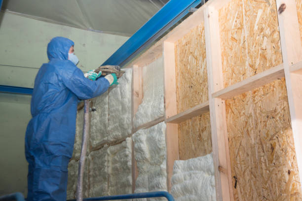 Insulation Inspection Services in Smith Center, KS